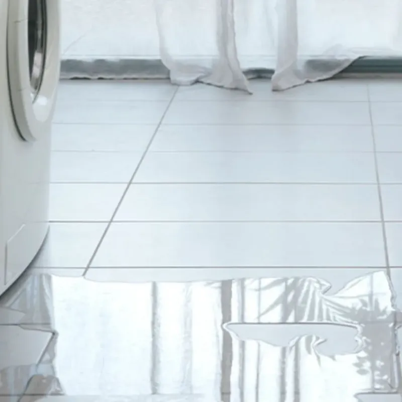 Appliance Leak Cleanup in Gonzales, CA